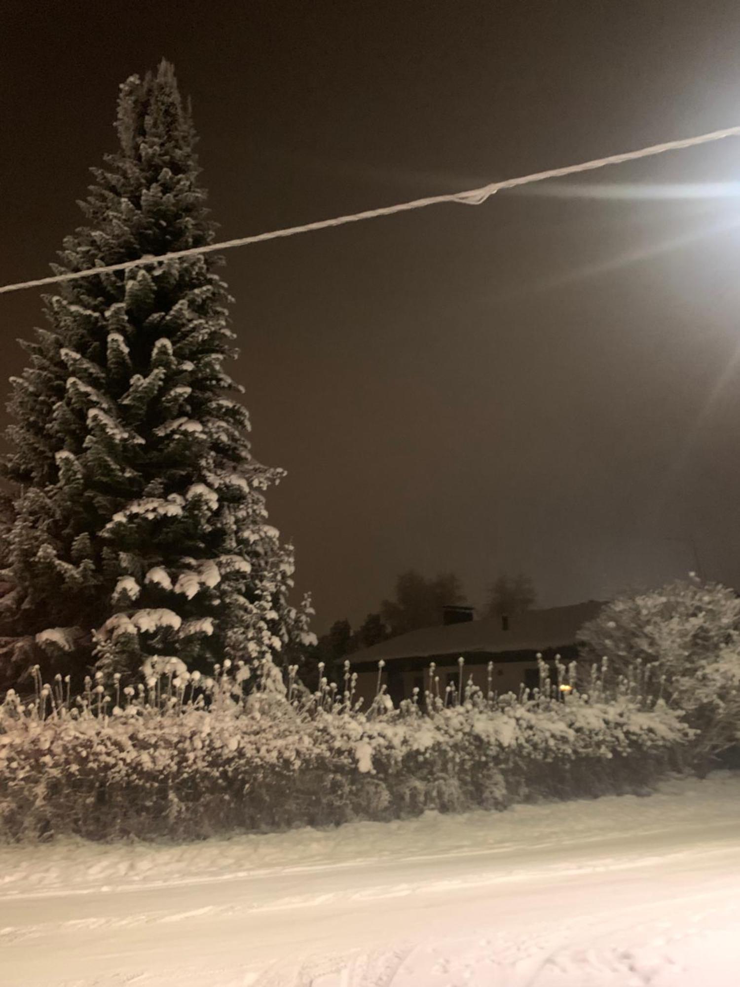 Tatu * Rovaniemi